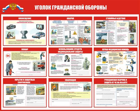 Подробные инструкции по действиям