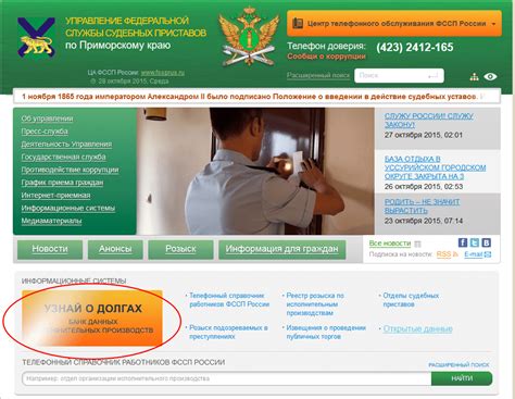 Поиск информации в базе Федеральной службы судебных приставов