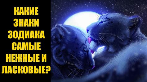 Покровительственный взгляд: знаки истинной заботы и нежности