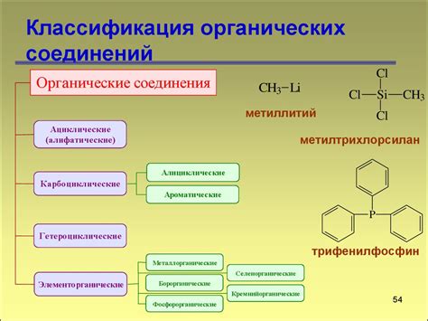 Полевой потенциал водорослей в биотехнологии для создания органических соединений