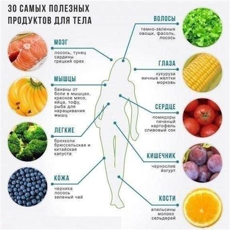 Полезные продукты для поддержания чистоты организма