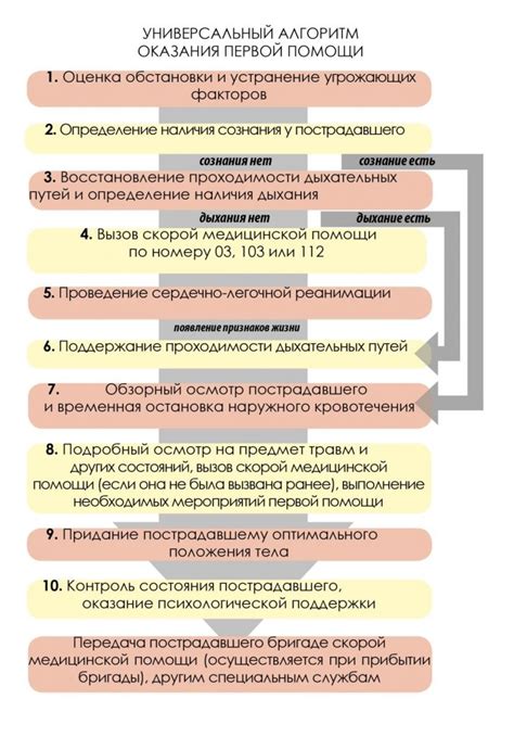 Полезные рекомендации и последовательность действий для эффективного осуществления заверения