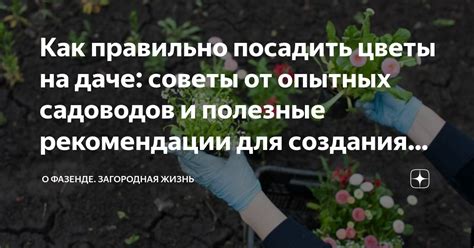 Полезные рекомендации и практические советы для оптимального использования