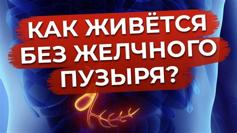 Полезные рекомендации по сохранению качества жизни без желчного пузыря