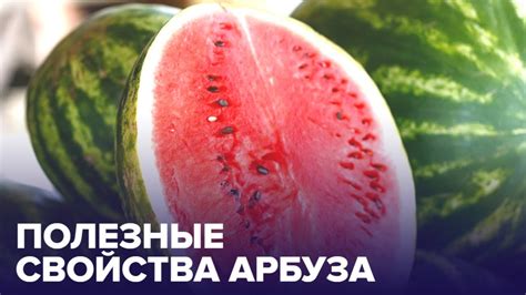 Полезные свойства арбуза