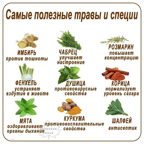 Полезные свойства растений