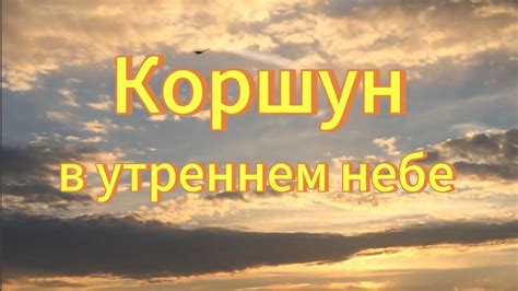 Полет коршунов на юг