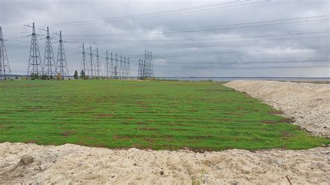 Поле замолкло и поросло травой