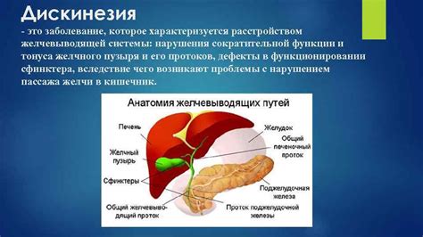 Полип в желчном пузыре: причины возникновения