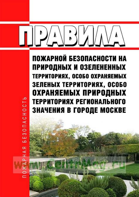 Получение безопасности с использованием технических устройств в озелененных территориях