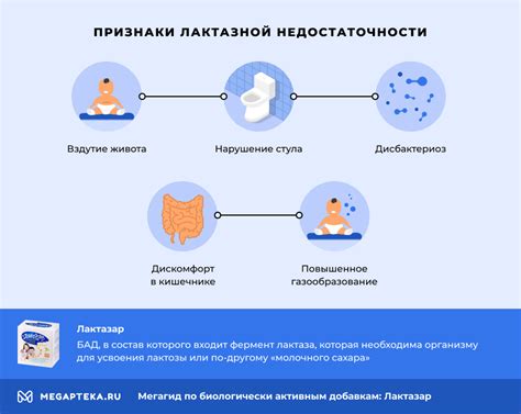 Польза Лактазара для пищеварения