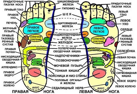 Польза для здоровья стоп