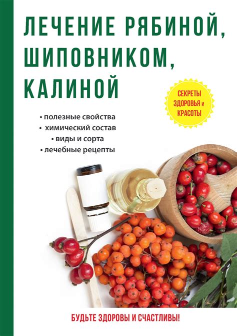 Польза и вред порошицы для поверхностей и здоровья человека