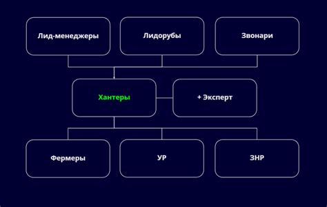 Польза и разнообразие функций