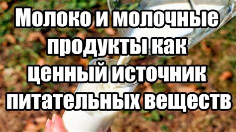 Польза молока как источник питательных веществ