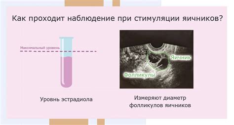 Польза натуральных методов для стимуляции овуляции