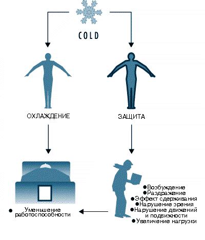 Польза прикладывания холода