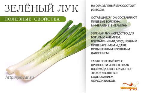 Польза рапанов с луком для организма: здоровый и питательный источник