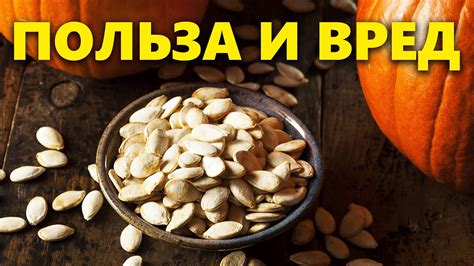 Польза семечек для организма