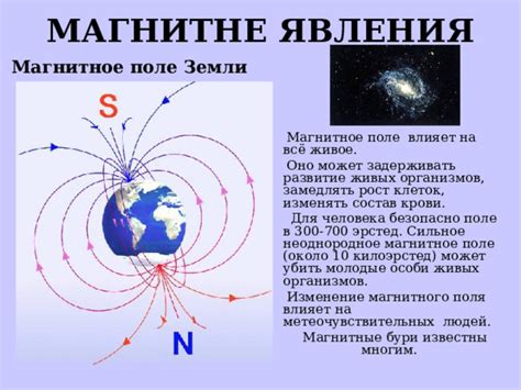 Польза сильного магнитного поля Земли для живых организмов