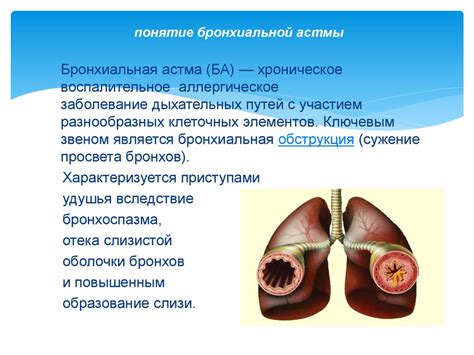 Польза цикория при бронхиальной астме