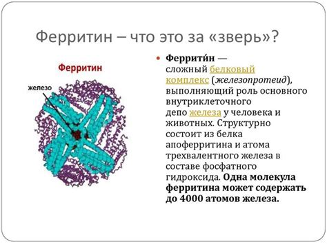 Пониженный уровень ЛПНП у женщин: симптомы и причины