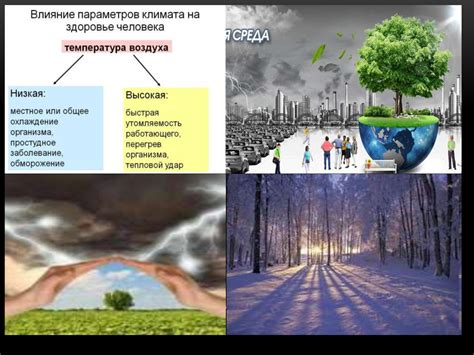 Понимание процессов: влияние на климат