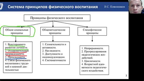 Понятие и основные принципы физического воспитания