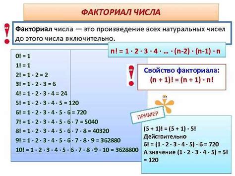 Понятие отрицательного числа и примеры использования