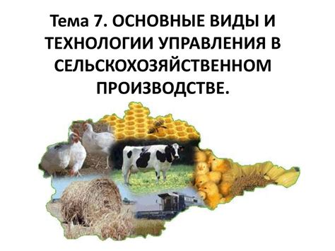 Популярные виды высококачественной продукции, получаемой в сельскохозяйственных предприятиях