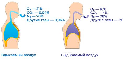 Последствия воздействия углекислого газа на человека