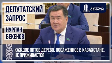 Последствия и взыскания за нелегальную вывозку изображений Будды