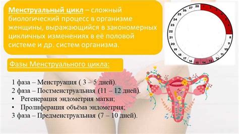 Последствия нарушения цикла