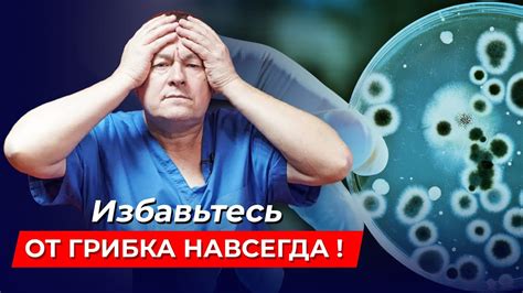 Последствия недостаточной обработки помещения от грибковых заболеваний