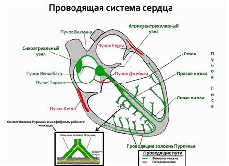 Последствия низкой проводимости