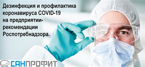 После уничтожения: дезинфекция и профилактика