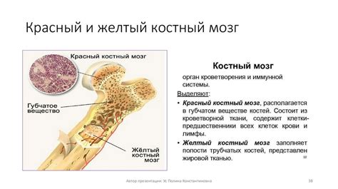 Потенциальные риски для мозга