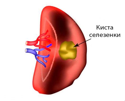 Потенциальные риски и опасности