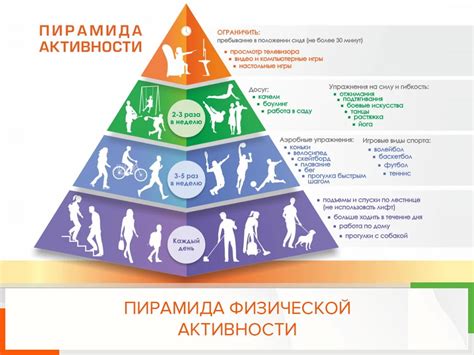 Потребность в груминге, физическая активность, здоровье