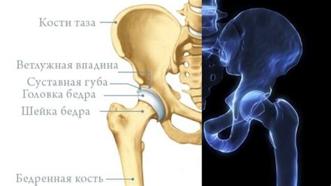 Почему болят кости таза у женщин при длительном сидении