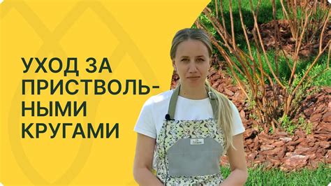 Почему важно ухаживать за жилками