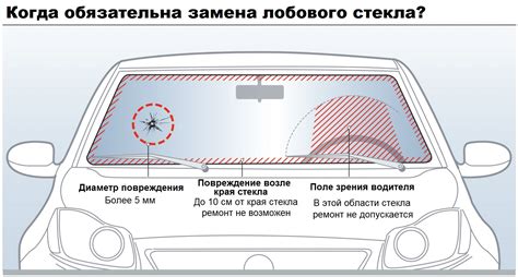 Почему голуби могут терять ориентацию и врезаться в лобовое стекло: