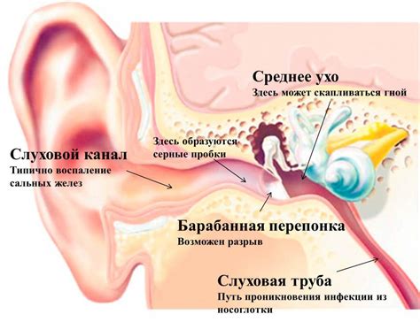 Почему давление закладывает уши