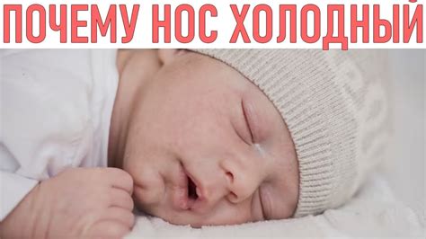 Почему нос у младенцев холодный