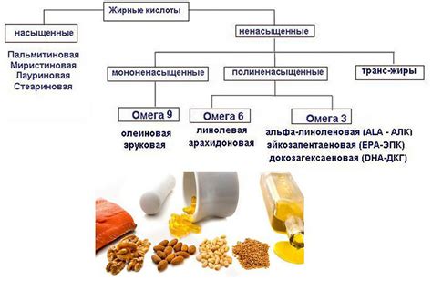 Почему организм не способен самостоятельно производить заменимые жирные кислоты