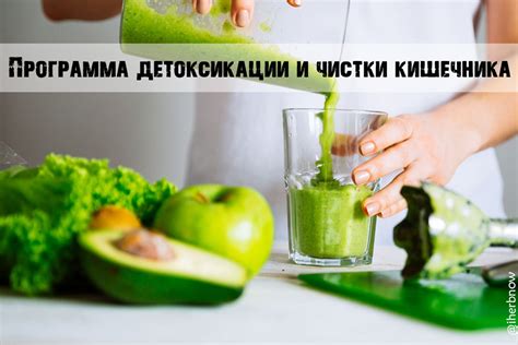 Почки: очистители организма от шлаков