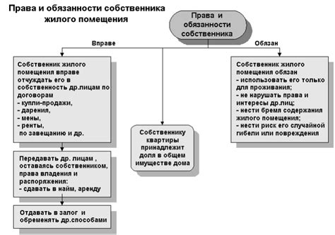 Права и обязанности владельца