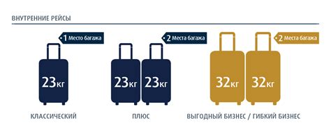 Правила багажа и регистрации