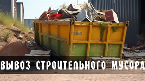 Правила вывоза бытовых отходов: основные принципы и ограничения