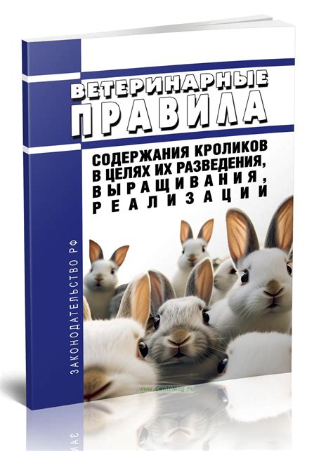 Правила питания кроликов в зависимости от их возраста и состояния